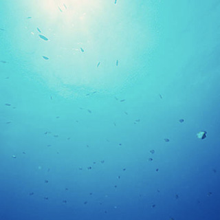 駿河湾深層水